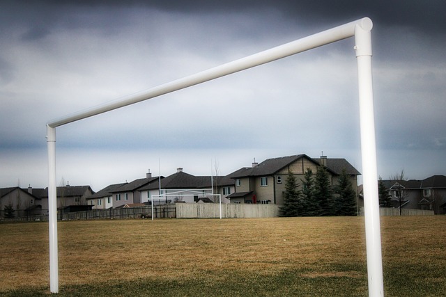 各支球队不 各支球队不