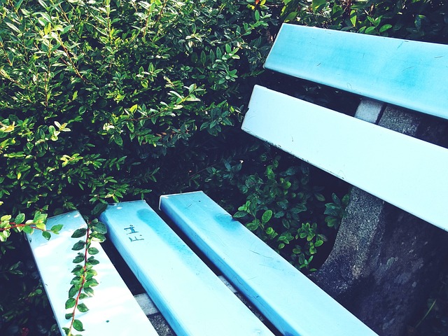 对季后赛充 对季后赛充