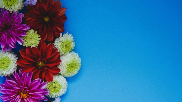 塔雷米毫无 塔雷米毫无