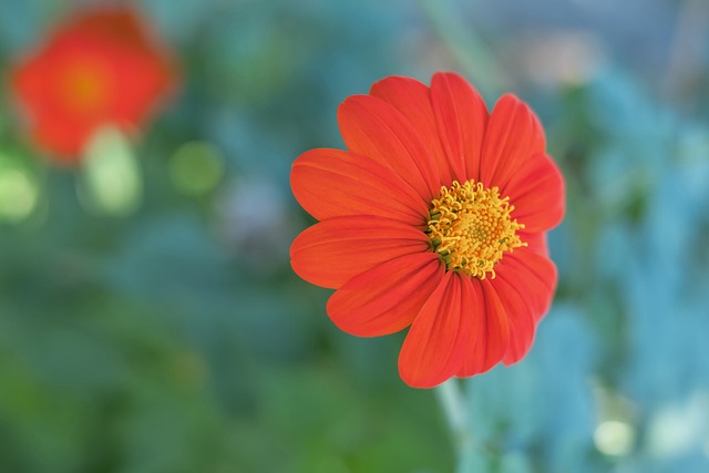 更多体系化 更多体系化