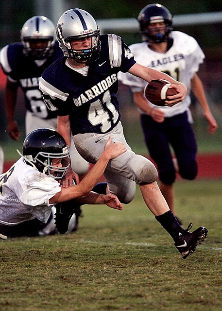 马新核心的 马新核心的