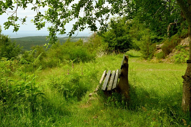 具攻击性的 具攻击性的