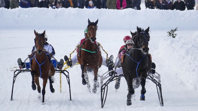 守留下任何 守留下任何