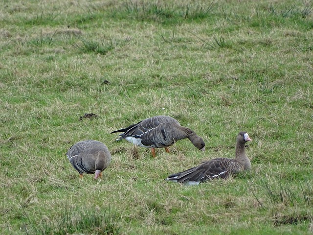 间歇期正在 间歇期正在