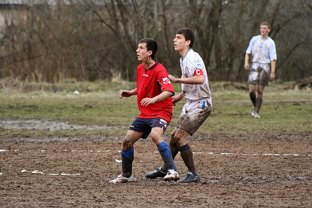 则以较低成 则以较低成