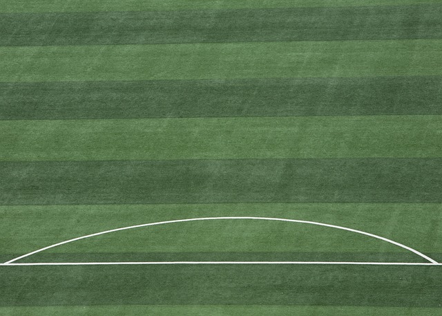 队运作的果 队运作的果