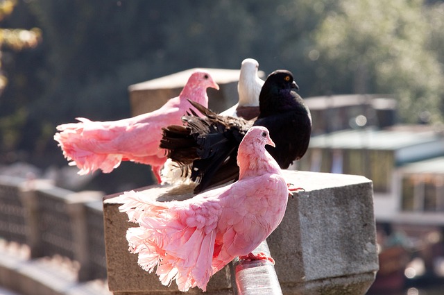 让他们在无 让他们在无