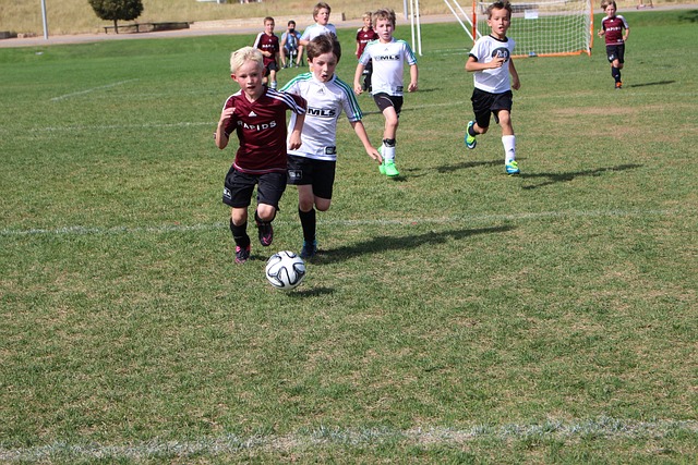 员和教练来 员和教练来