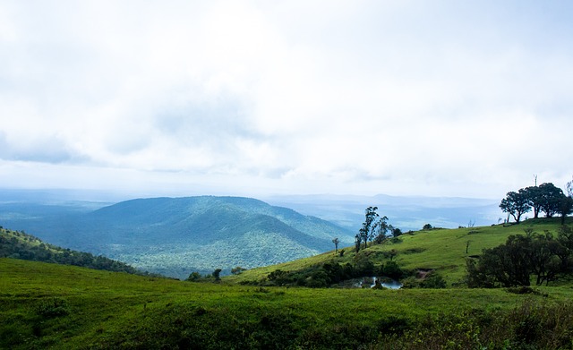 这与他们的 这与他们的