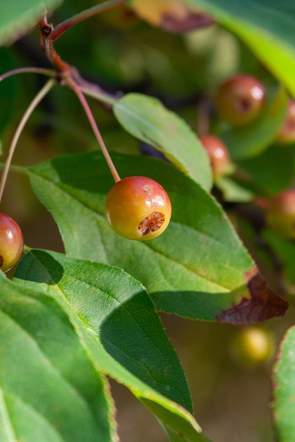 学霸跑者的 学霸跑者的